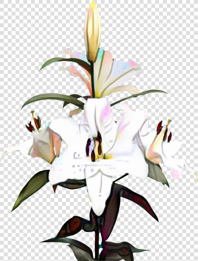 Portable Network Graphics Clip Art Madonna Lily Image   Portable Network Graphics  HD Png DownloadTransparent PNG