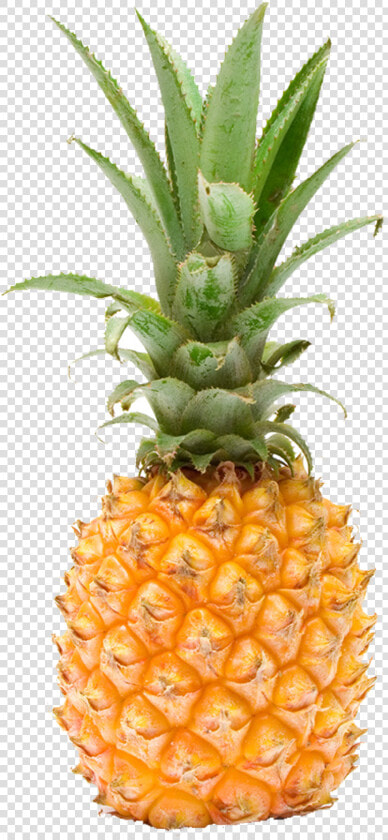 Pineapple Fruit Photography   Pineapple  HD Png DownloadTransparent PNG