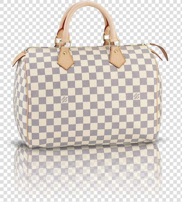 Louis Vuitton Speedy 30   Louis Vuitton Doctor Bag Price  HD Png DownloadTransparent PNG