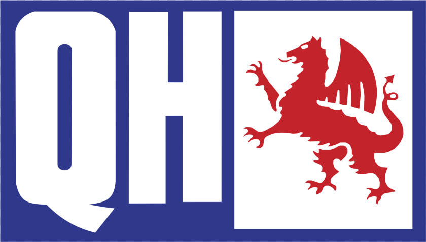 Qh Logo Png Transparent   Quinton Hazell Logo  Png DownloadTransparent PNG