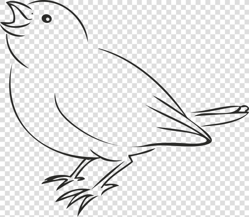 House Sparrow Bird Drawing Clip Art   Drawing Of Sparrow Bird  HD Png DownloadTransparent PNG