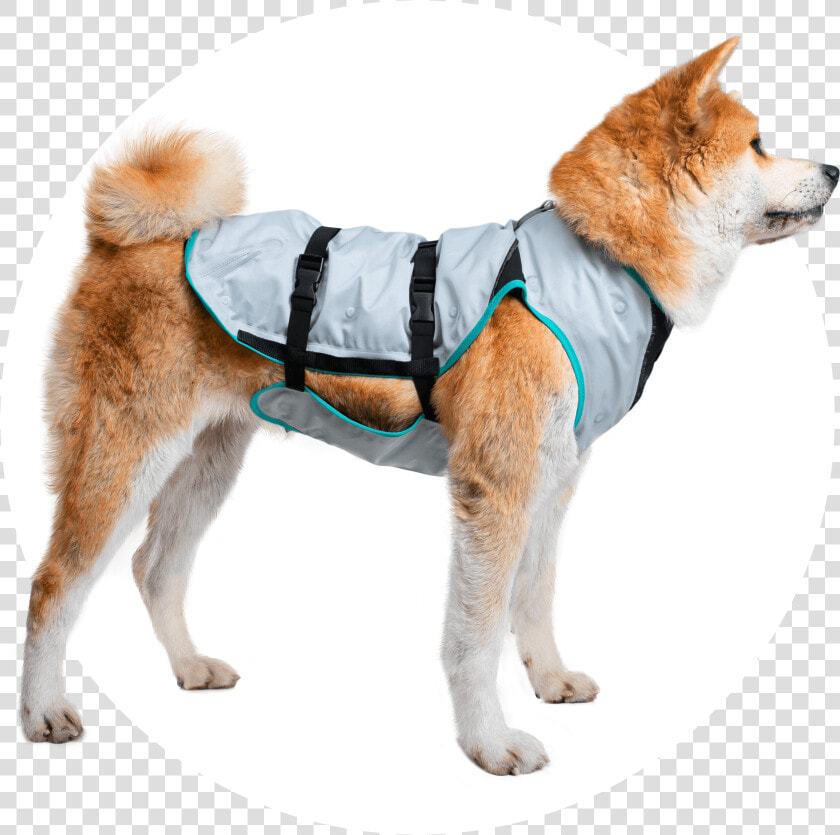 Dry Cooling Vest From Suitical  HD Png DownloadTransparent PNG