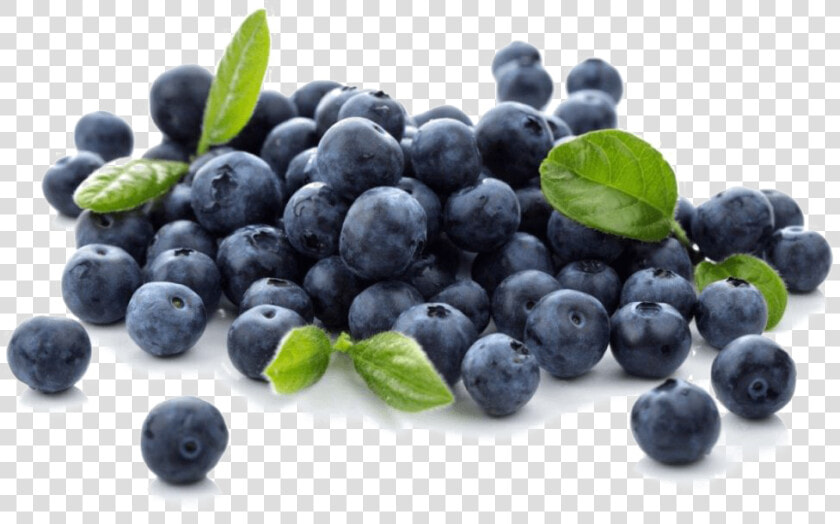 Blueberries Png Photo   Blueberries Png  Transparent PngTransparent PNG