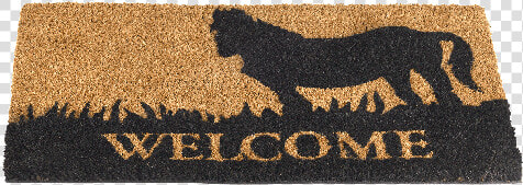 Door Mat   Doormat  HD Png DownloadTransparent PNG