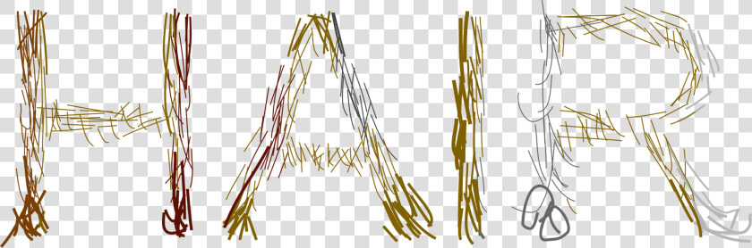 Grass Family twig angle   Plot  HD Png DownloadTransparent PNG