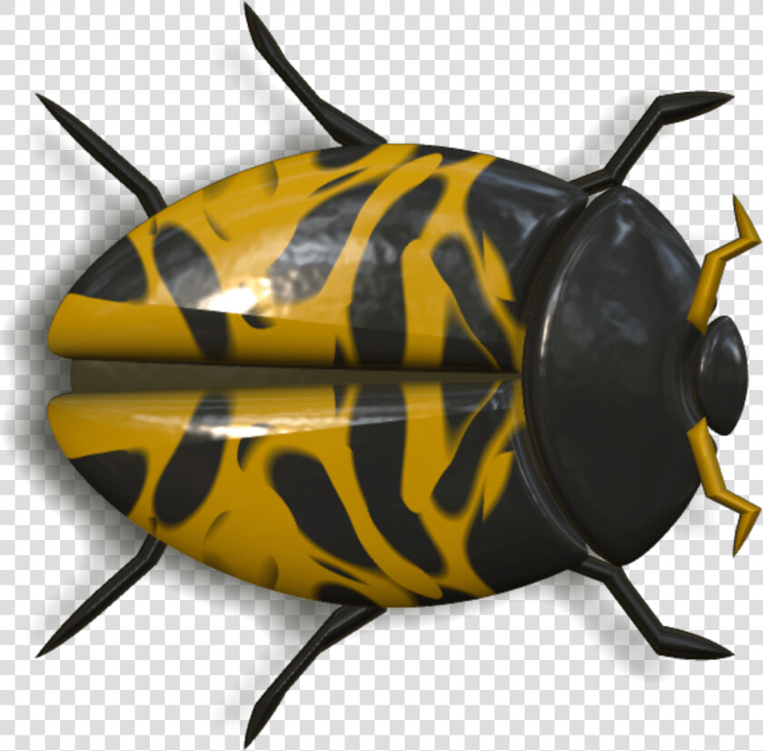 Ladybug Orange And Black Head To Right   Besouro Amarelo E Preto  HD Png DownloadTransparent PNG