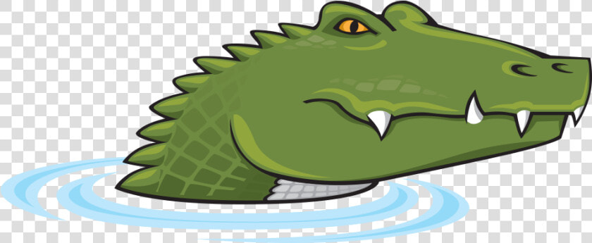 Transparent Alligator   Clipart Transparent Background Crocodile  HD Png DownloadTransparent PNG