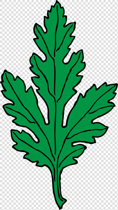 Green Leaf Clip Art   Chrysanthemum Leaf Clipart  HD Png DownloadTransparent PNG