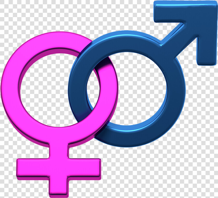 Gender Symbol Female Clip Art   Gender And Human Sexuality Ppt  HD Png DownloadTransparent PNG