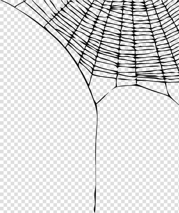 Spider Web Border Png   Spider Web Transparent Background  Png DownloadTransparent PNG