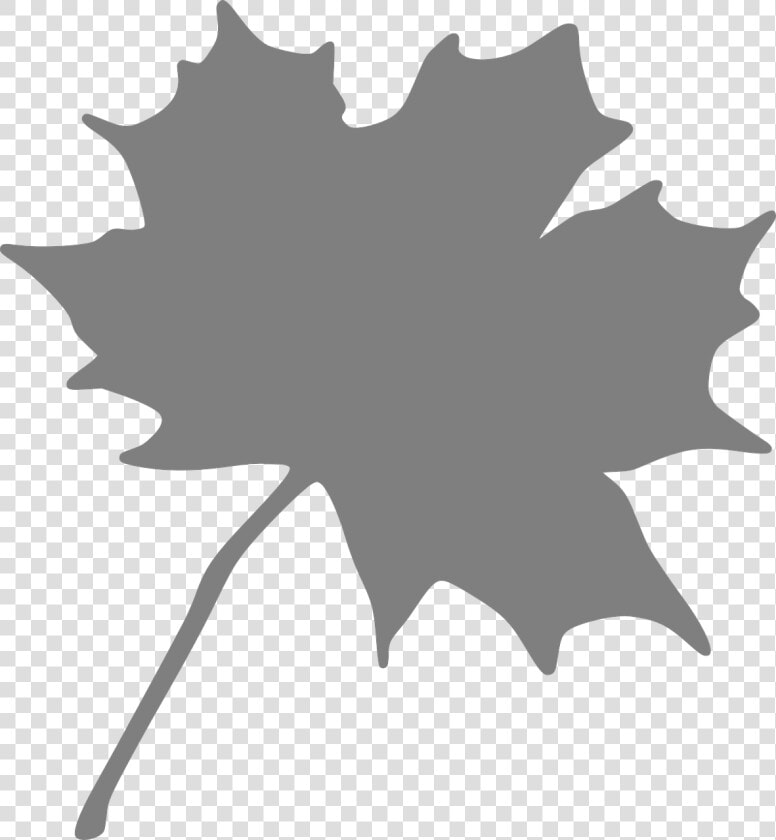 Maple Leaf Grey Free Picture   Orange Maple Leaf Clipart  HD Png DownloadTransparent PNG