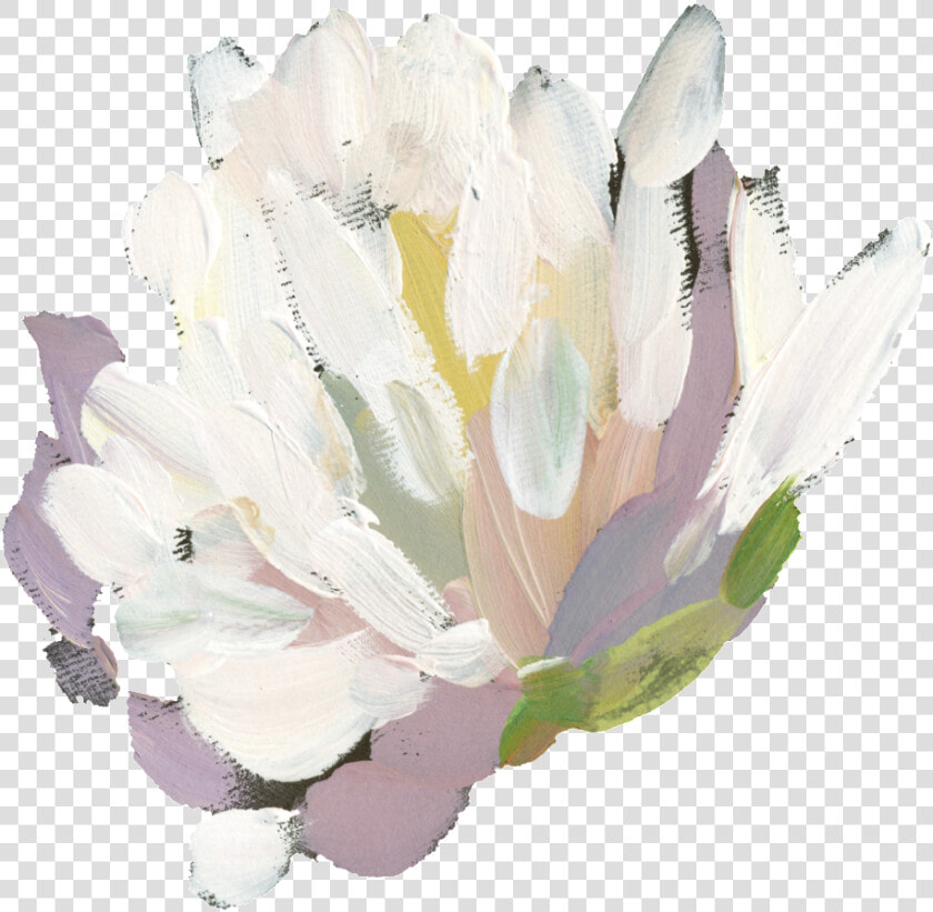 Hand Painted White Watercolor Flower Png Transparent   White Flowers Png Transparent  Png DownloadTransparent PNG