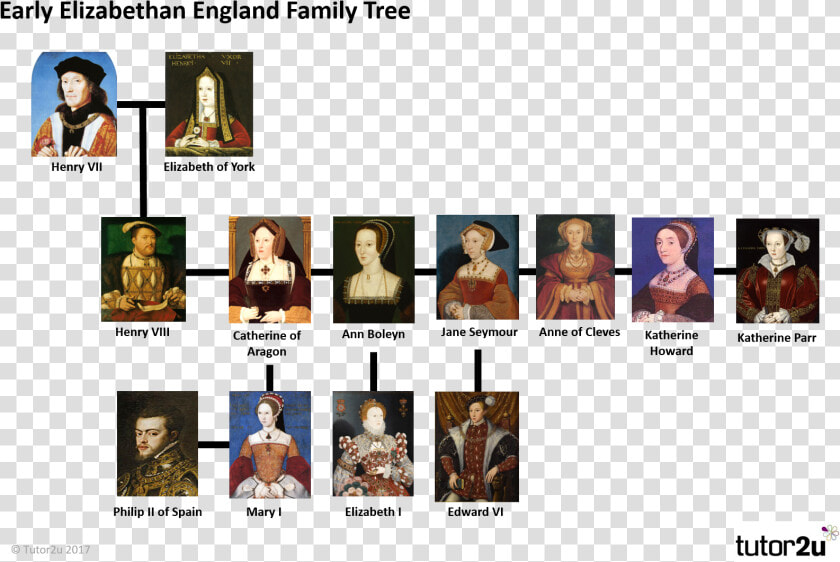 Tudor Family Tree Henry Vii  HD Png DownloadTransparent PNG