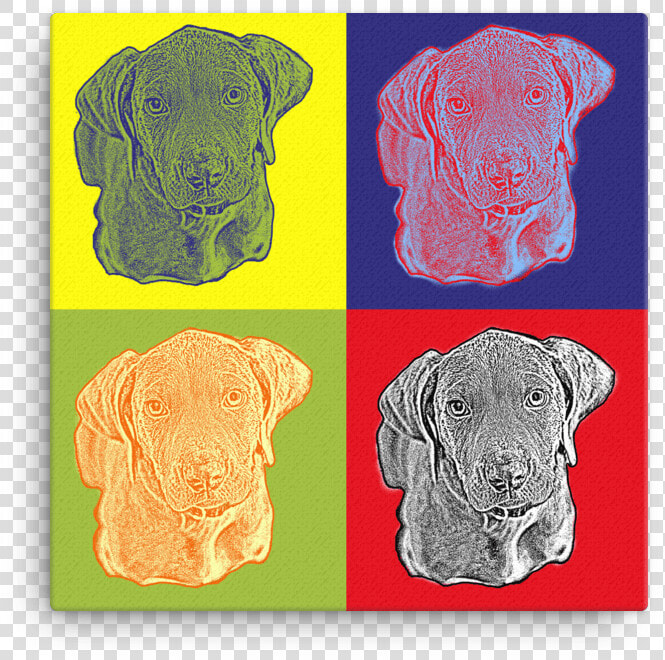 Front View Dog Portrait Pop Art   Guard Dog  HD Png DownloadTransparent PNG