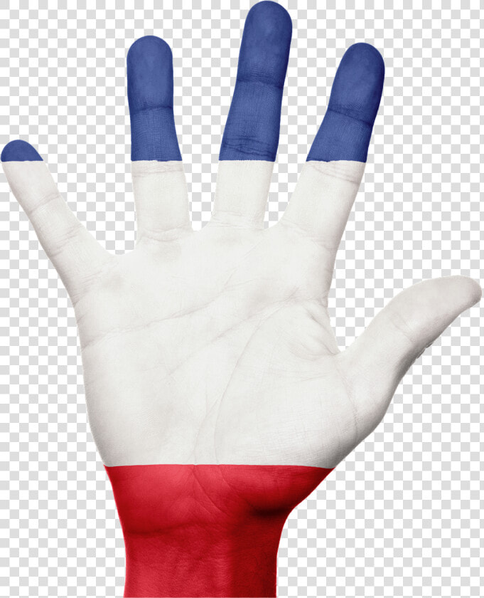 Niger Flag Hand  HD Png DownloadTransparent PNG