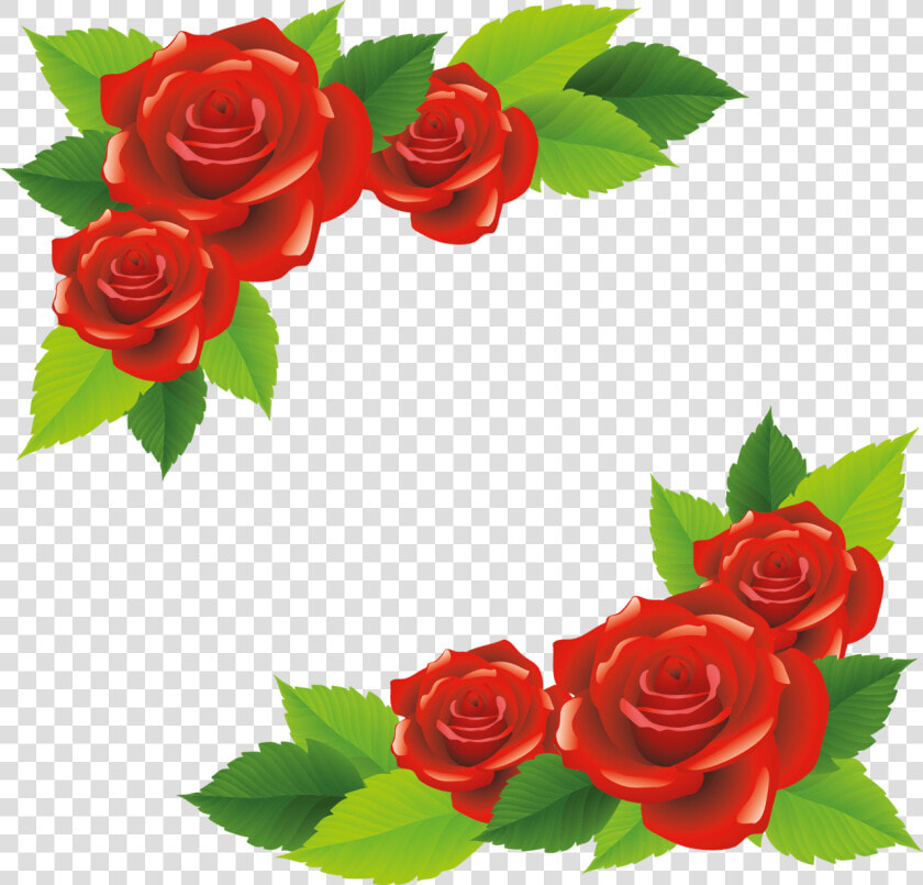 Transparent Climbing Roses Clipart   ดอก กุหลาบ เวก เตอร์  HD Png DownloadTransparent PNG