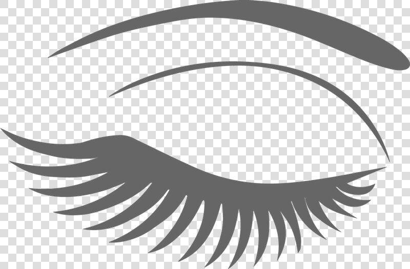 Extensions Cosmetics Clip Art   Eyebrow And Lash Png  Transparent PngTransparent PNG