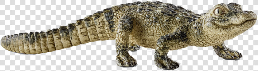 Rotate Resize Tool Drawing   Schleich Crocodile Babies  HD Png DownloadTransparent PNG