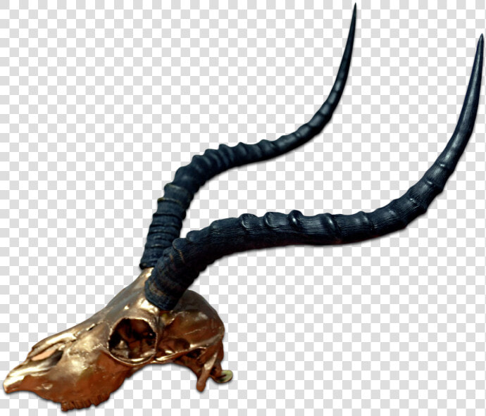 Real Impala Skull Bronze Spray Painted Metal Bracket   Impala Skull  HD Png DownloadTransparent PNG