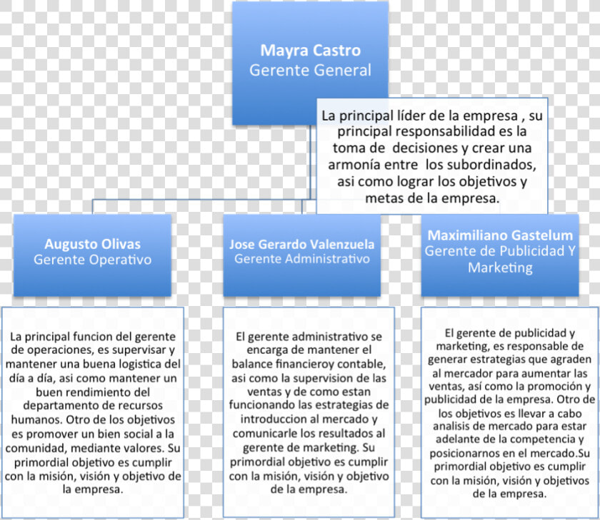 Organigrama   Descripcion De Un Organigrama  HD Png DownloadTransparent PNG