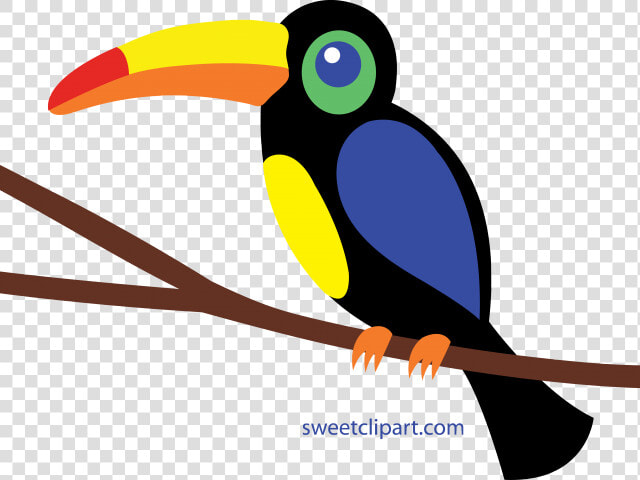 Transparent Tucan Png   Tucan Clipart  Png DownloadTransparent PNG