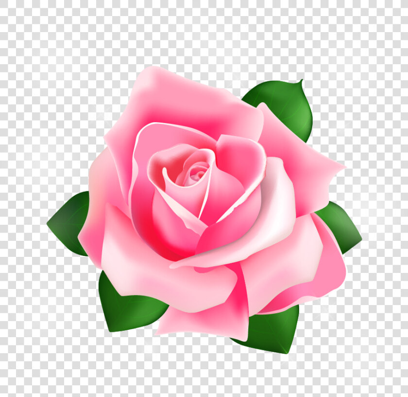 Rose Vector Png Download   Pink Rose Vector Png  Transparent PngTransparent PNG