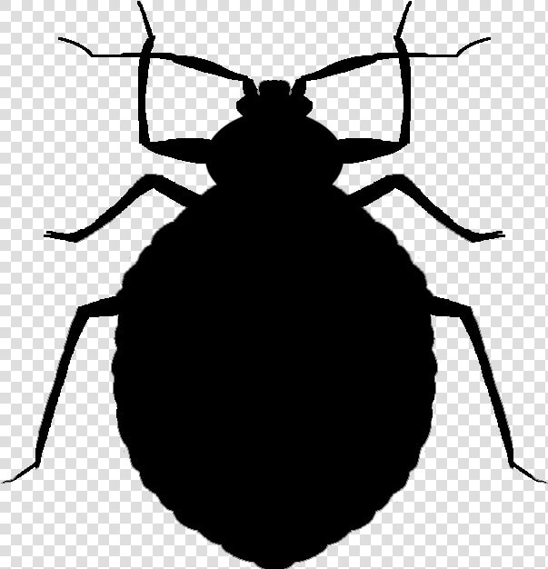 Bugs Silhouette At Getdrawings   Bed Bug Vector Png  Transparent PngTransparent PNG