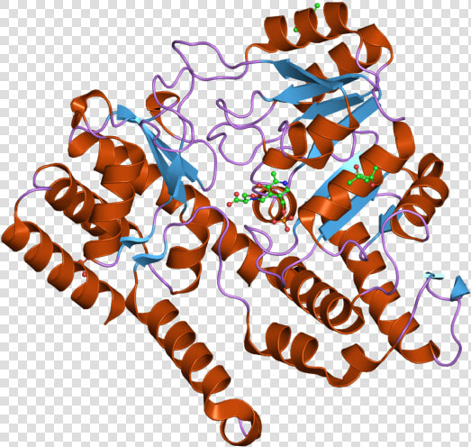 Pdb 2vmp Ebi   Graphic Design  HD Png DownloadTransparent PNG