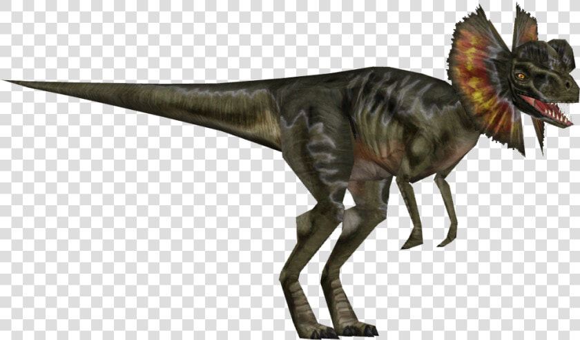 Dilophosaurus Jurassic Park Png   Png Download   Dilophosaurus Png  Transparent PngTransparent PNG