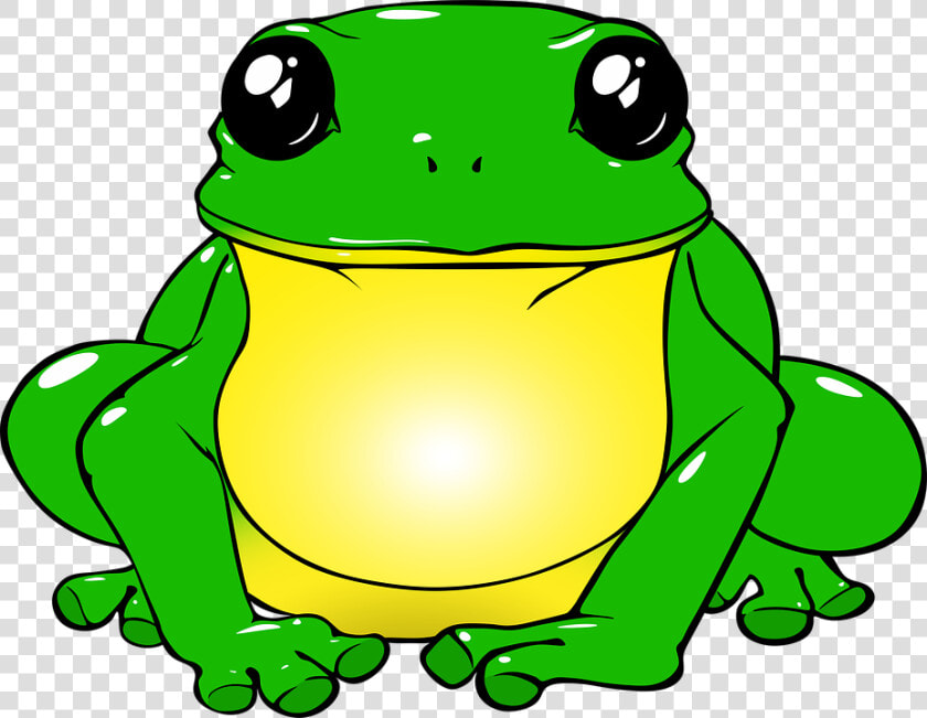 Frog  Toad  Green  Drawing  Png  Animals  Nature  Water   Frog With A Unicorn  Transparent PngTransparent PNG