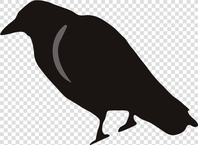 Crow Clipart Birds And Clip Art Photo Crowclipart   Crow Clip Art  HD Png DownloadTransparent PNG