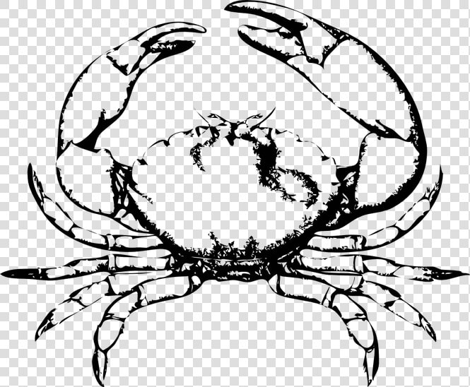 Crab Frames Illustrations Hd   Black And White Crab  HD Png DownloadTransparent PNG