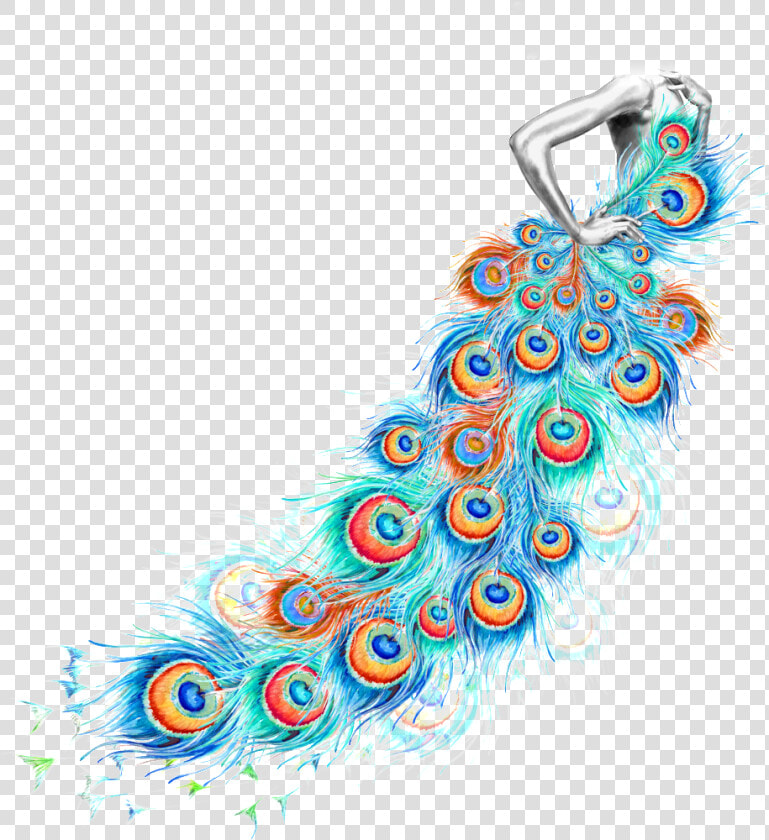 Peacock Clipart Body   Creative Peacock Feather  HD Png DownloadTransparent PNG