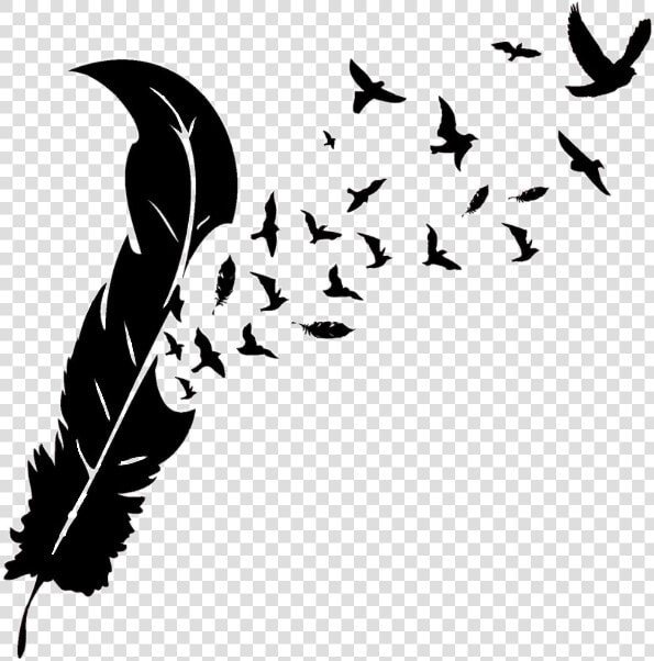 Feather With Birds Silhouette   Feather With Bird Silhouette  HD Png DownloadTransparent PNG