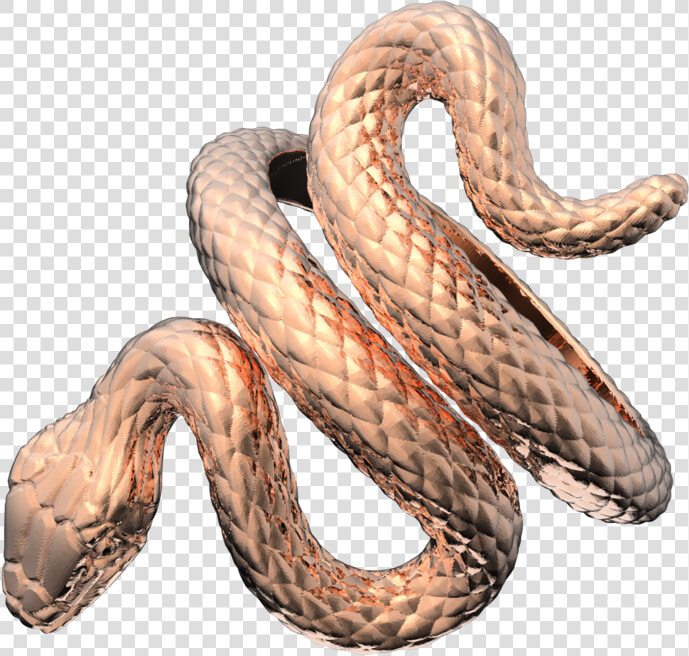 Serpent  HD Png DownloadTransparent PNG