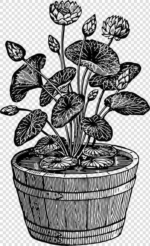 Potted Plant 10 Clip Arts   Black And White Potted Plant  HD Png DownloadTransparent PNG