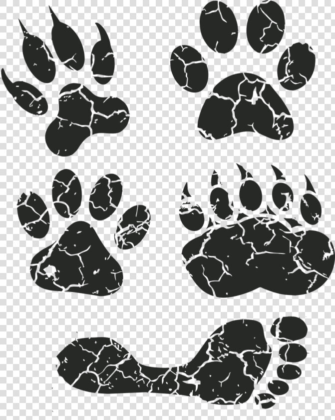 Paw Print  Paw  Foot Prints  Footprint  Animal Tracks   Animal Track  HD Png DownloadTransparent PNG