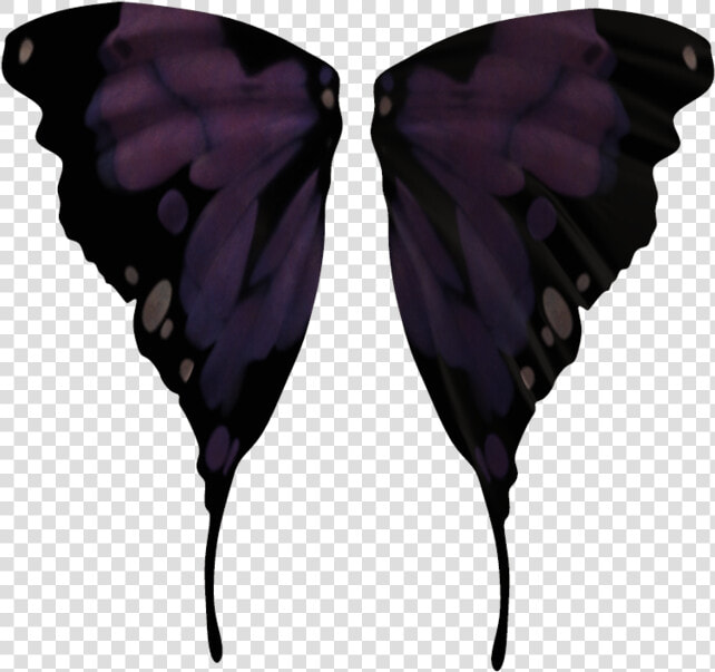 Transparent Realistic Fairy Wings Png   Black Fairy Wings Png  Png DownloadTransparent PNG