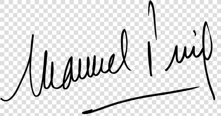 Firma Manuel Puig   Firma Manuel  HD Png DownloadTransparent PNG