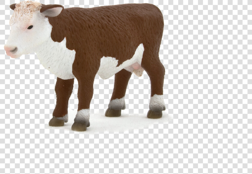 Hereford Cattle Calf Sheep Herefordshire Artikel   Hereford Cattle  HD Png DownloadTransparent PNG