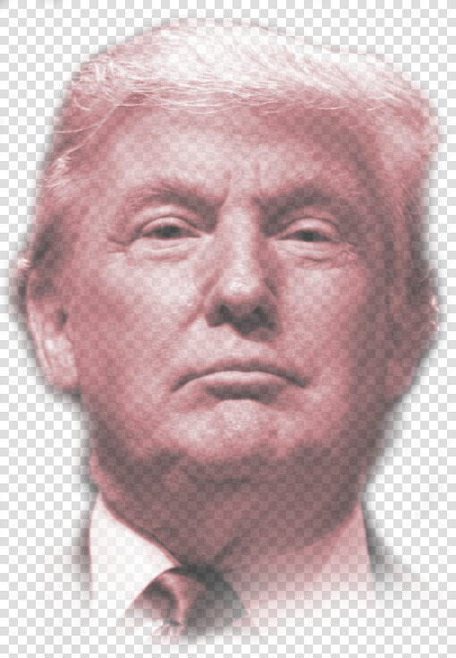 Follow Donald Trump   Trump And The Fbi  HD Png DownloadTransparent PNG