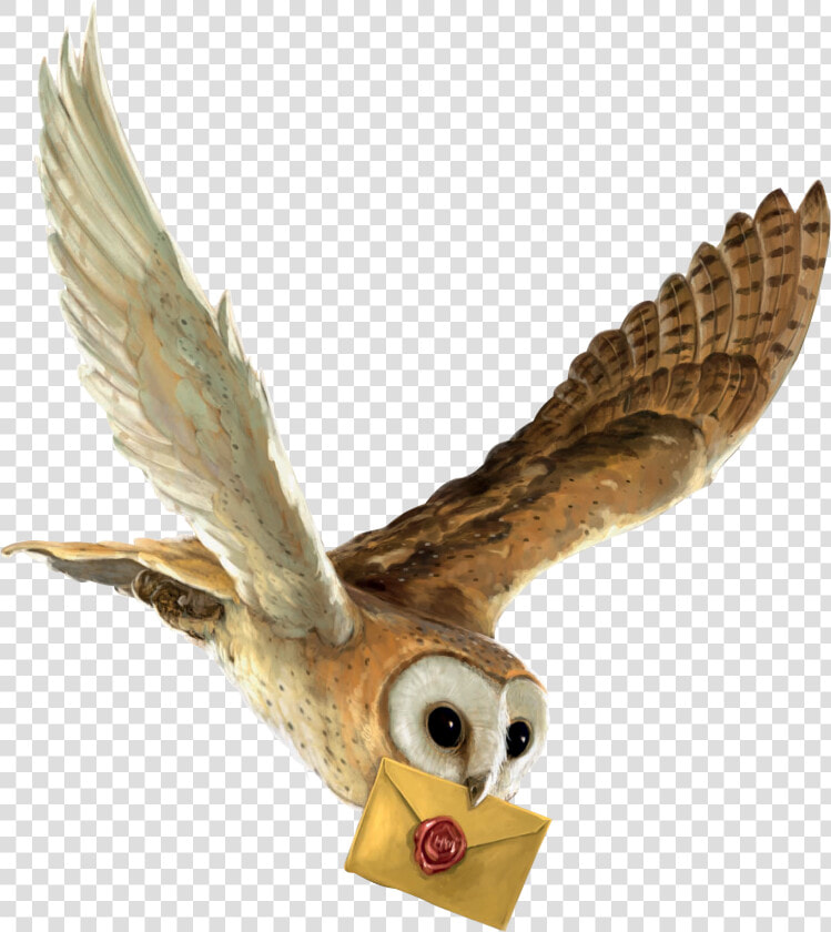 Harry Potter And The Philosopher S Stone Owl Hedwig   Harry Potter Owl Flying  HD Png DownloadTransparent PNG