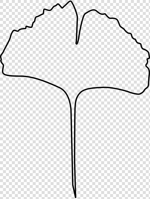 Ginkgo Leaf   Line Art  HD Png DownloadTransparent PNG