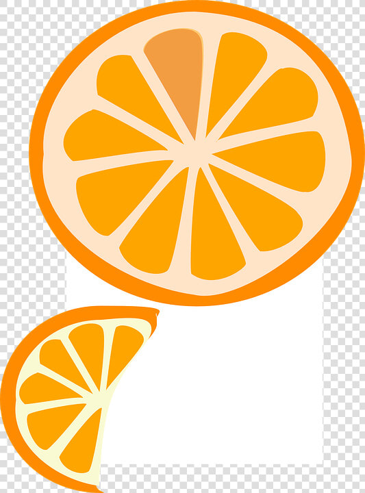 Slice  Fruit  Orange  Wedge  Vitamin  Citrus  Slices   Cartoon Orange Slice Png  Transparent PngTransparent PNG