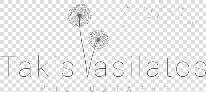 Takis Vasilattos Photography   Dandelion  HD Png DownloadTransparent PNG