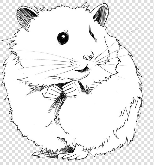 Jerbo Dibujo H Mster   Hamster Black And White Clipart  HD Png DownloadTransparent PNG