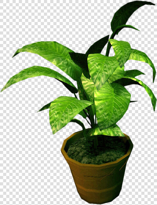 Clip Art Potted Plants Png   Small Potted Plant Transparent  Png DownloadTransparent PNG