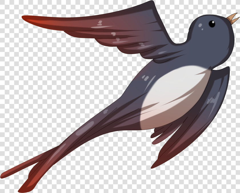 Transparent Swallowing Clipart   European Swallow  HD Png DownloadTransparent PNG