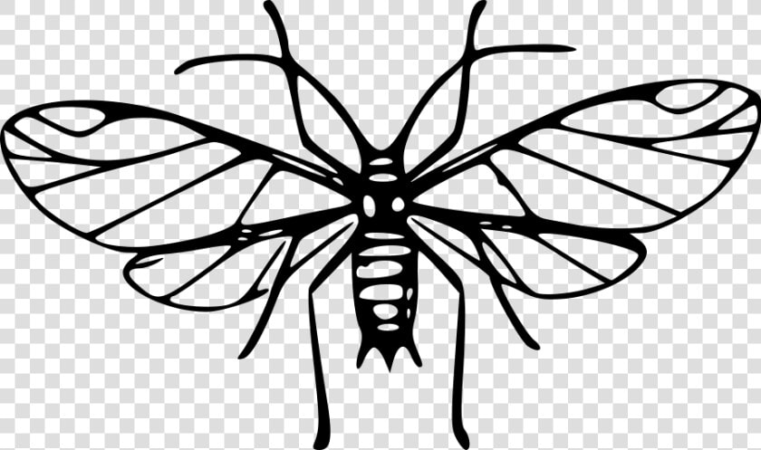 Cartoon Mosquito Clipart Wikiclipart   Clip Art Image Mosquito Black And White  HD Png DownloadTransparent PNG