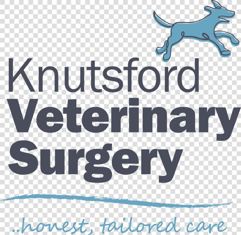 Veterinary Practice News  HD Png DownloadTransparent PNG